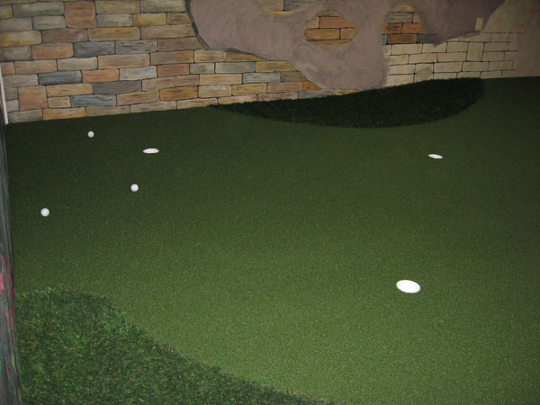 Putting Green In Basement